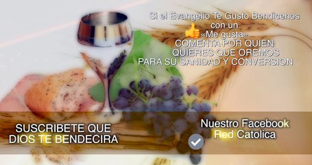Evangelio de Hoy (Domingo, 12 de Agosto de 2018) | REFLEXIÓN | Red Católica Official