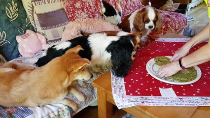 Joyeux Anniversaire Frou Frou 3