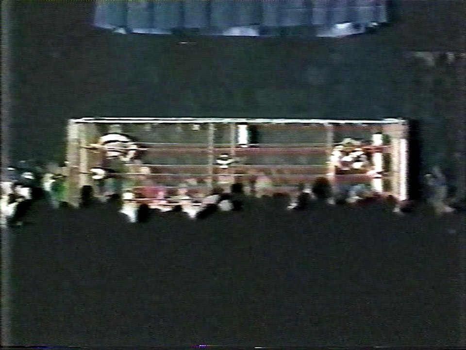 Cage Match for the vacant 6 Man World Trophy.  Freebirds vs The Von Erichs