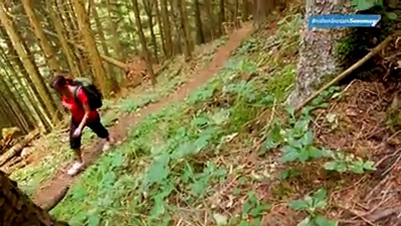 Bettina Stahl-Frick hat sich auf die Suche nach der Matona-Hütte in Planken gemacht – und wurde fündig! Mehr dazu morgen in der «Vaterland»-Print-Ausgabe.