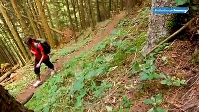 Bettina Stahl-Frick hat sich auf die Suche nach der Matona-Hütte in Planken gemacht – und wurde fündig! Mehr dazu morgen in der «Vaterland»-Print-Ausgabe.