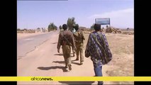 Ethiopia: ONLF declares a unilateral ceasefire