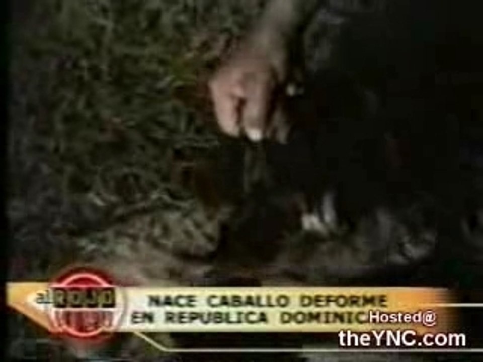 Extraterrestre (réel)