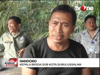Aksi Polisi Gajah Meredam Konflik dengan Manusia