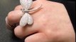 We are loving this ring that's just arrived ,its definitely not something that you see everyday, we only have 1 x butterfly and 1 x dragonfly and we expect them