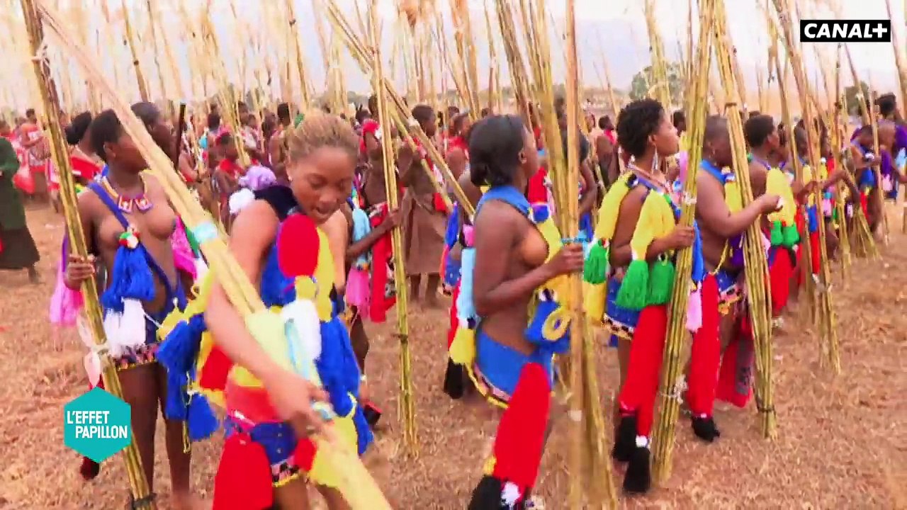 Swaziland : Dictature Tour - L’Effet Papillon – CANAL+