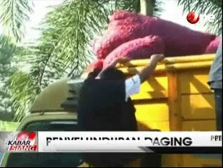 Polisi Gagalkan Penyelundupan 1,5 Ton Daging Celeng