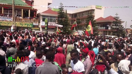 Ethiopia: ዘ-ሐበሻ ዜና