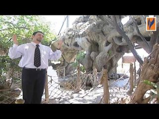 "برنامج الأناشيد  رحمانيات رمضان الحلقة 13 الثالثة عشر  | Islamic Songs "