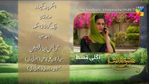 Ishq Tamasha Episode #24 Promo HUM TV Drama