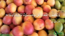 Surah Al Dahar With Video & Urdu Translation Beautiful Quran Reacting || Islamic knowledge ||
