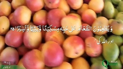 Surah Al Dahar With Video & Urdu Translation Beautiful Quran Reacting || Islamic knowledge ||