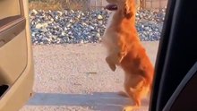 KiKi challenge