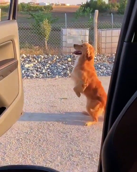 KiKi challenge