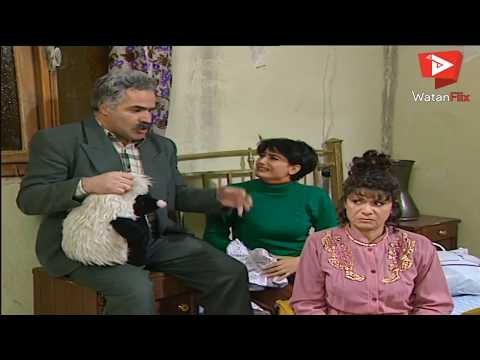 زهرة عم تبكي غيرانة من بوران اللي عم تدلل - نورمان اسعد - سامية الجزائري - عيلة سبع نجوم