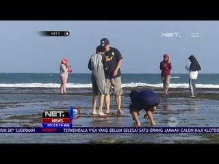 Pengunjung Pantai di Gunungkidul Kembali Menjadi Korban Sengatan Ubur-ubur - NET 5