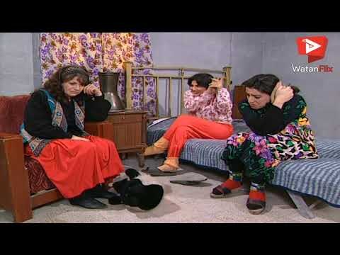 بوران عم تبهدل غادة وزهرة سامية الجزائري - نورمان اسعد - عيلة سبع نجوم