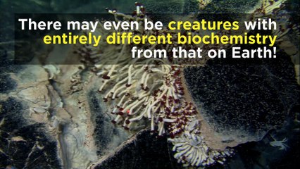 Is there life on Enceladus?