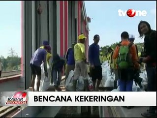 Sungai Citanduy Surut 3 Meter, Puluhan Ikan Mati Terdampar