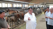 北 김정은, 목장·어업사업소 시찰 / YTN