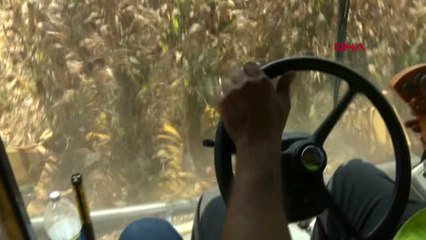 Adana Yakılan Anızın Külü ve Dumanı Rahatsız Etti Hd