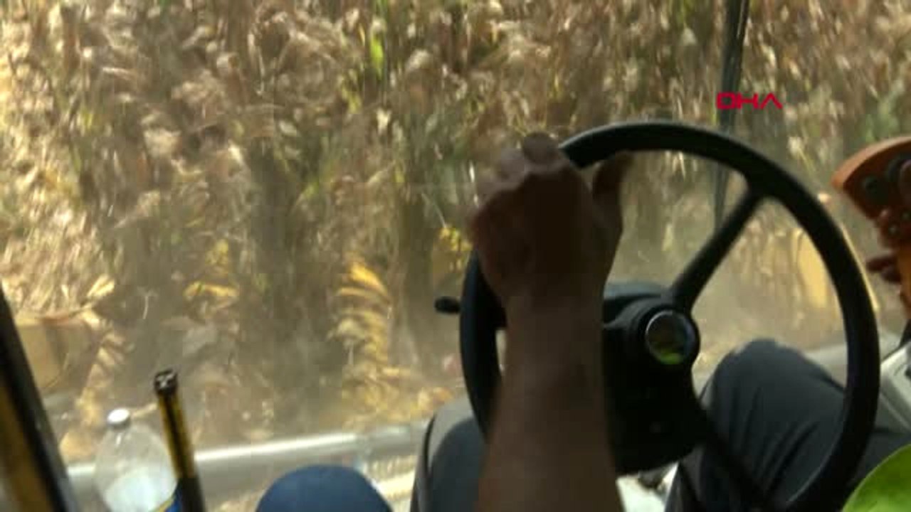 Adana Yakılan Anızın Külü ve Dumanı Rahatsız Etti Hd