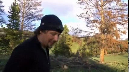 America the Wild with Casey Anderson S01 - Ep03 Inside a Grizzly Attack HD Watch