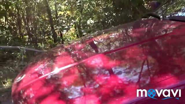 КРИС-П ның заңсыздығы, Алматы облысы трасса Алматы Ташкент.