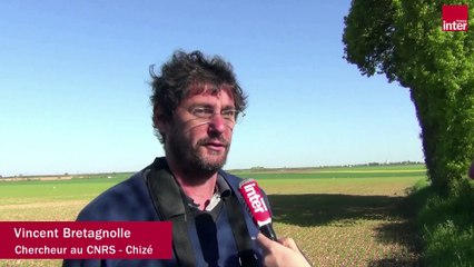 Le printemps silencieux