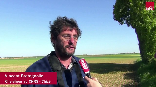 Le printemps silencieux