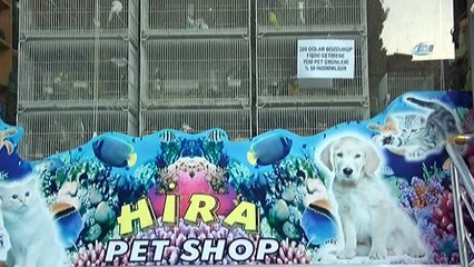 Hataylı esnaftan döviz çağrısına tam destek