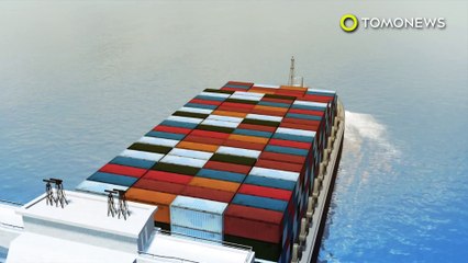 개떼같은 비둘기들, 대만 비둘기 바다건너기에 투입돼