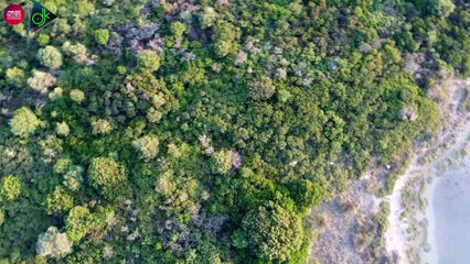 Γιάννης Τάσσιος - Μια Ματιά (Official Music Video)