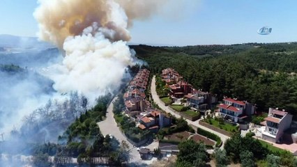 Kül olan ormana çabuk tutuşmayan ağaçlar dikilecek