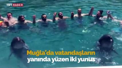 Yunuslar vatandaşlarla horon oynadı