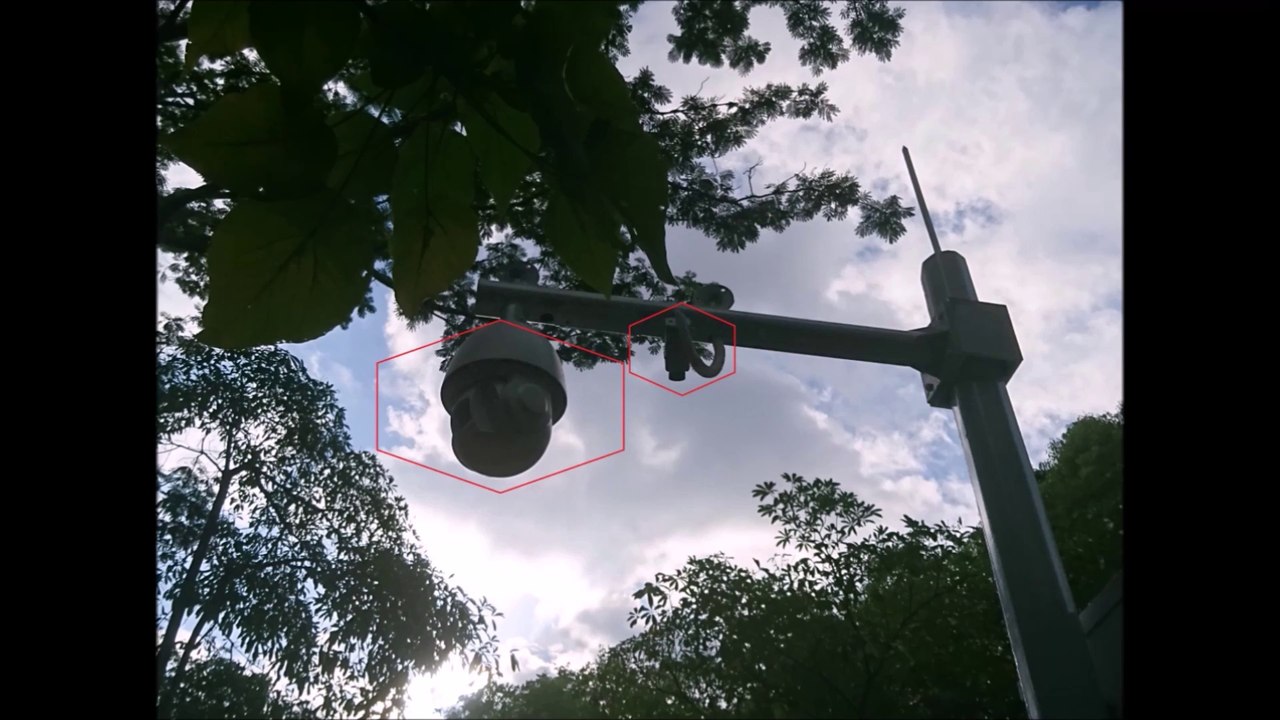 Chinese Lumberjacks in Shenzhen with a Stihl  / Chinesische Waldarbeiter mit Stihl Kettensäge