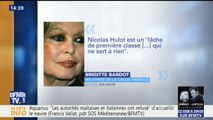 Nicolas Hulot répond à Brigitte Bardot qui l'avait traité de 