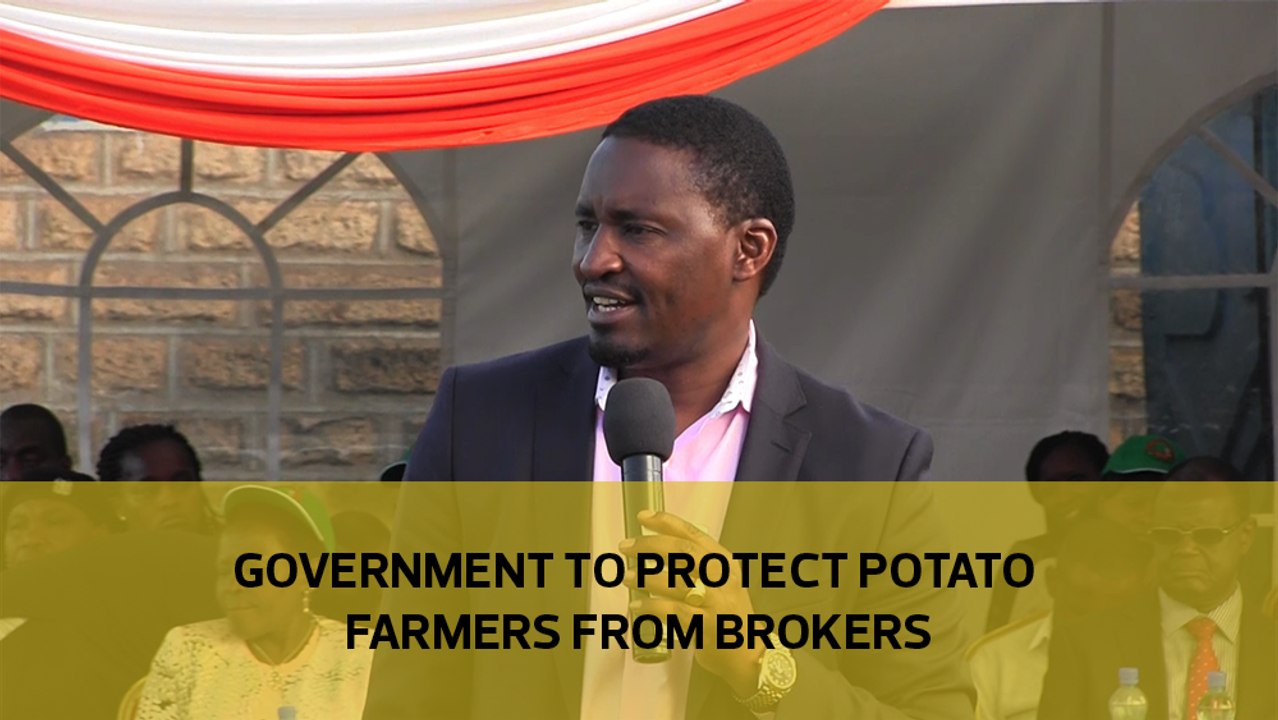 Government to protect potato farmers from brokers