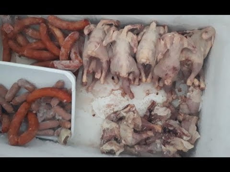 Ora News - Bllokohen dyqanet ku shiteshin pula e sallam me afat skadence të përfunduar