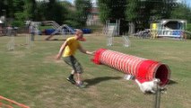 Concours d'agility Mon chien mon ami (Quaregnon) (5)
