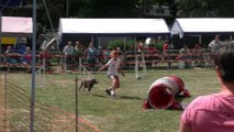 Concours d'agility Mon chien mon ami (Quaregnon) (3)