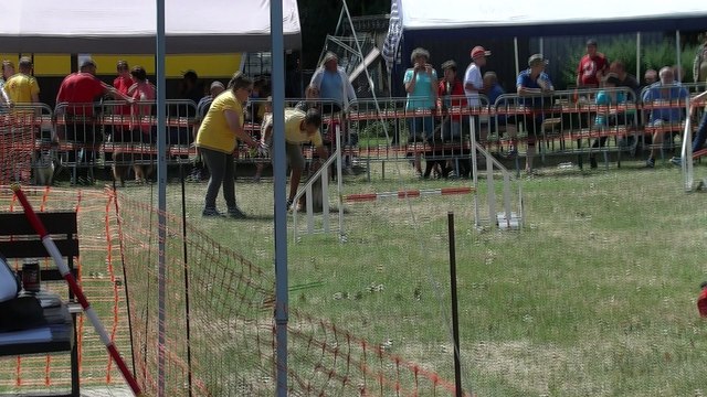 Concours d'agility Mon chien mon ami (Quaregnon) (2)