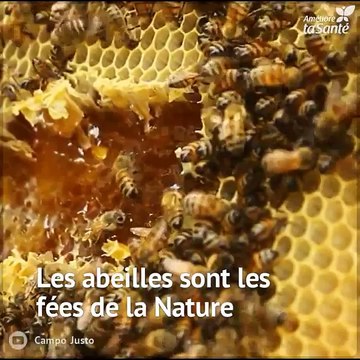 Le venin de l'abeille a un grand potentiel pharmacologique pour traiter diverses maladies. Que diriez-vous d'en savoir plus à ce sujet ?