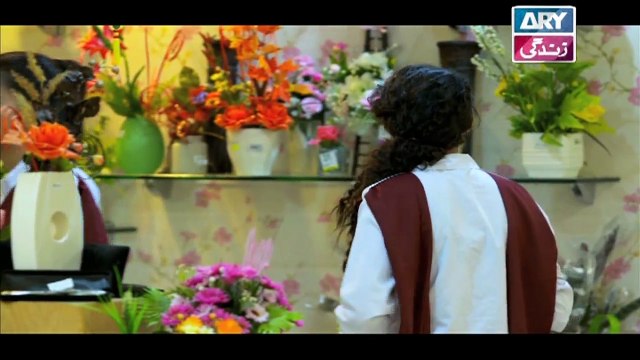 Saheliyaan Episode 03 & 04 - on ARY Zindagi in High Quality 16th August 2018