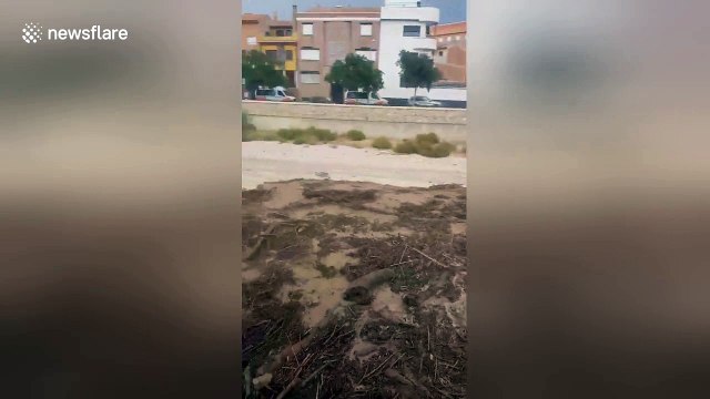 Overflowing river transports tonnes of debris following heavy rainstorm in southern Spain