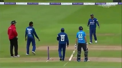 Top 10 Weird Dismissals in Cricket History - Weird Cricket