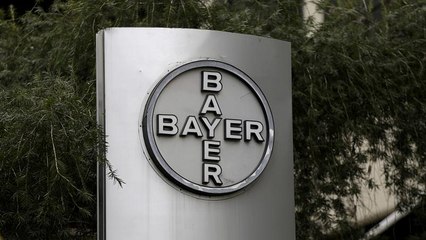 Bayer shares plunge over weedkiller trial
