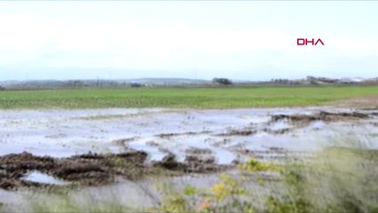 Download Video: Samsun Bafra Ovası'nda Tarım Arazileri Sular Altında