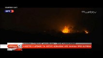 Ancora incendi in Grecia. Evacuati in 500 dall'isola di Eubea