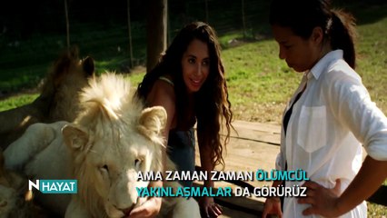 N Hayat... Köpek balığıyla tehlikeli samimiyet!